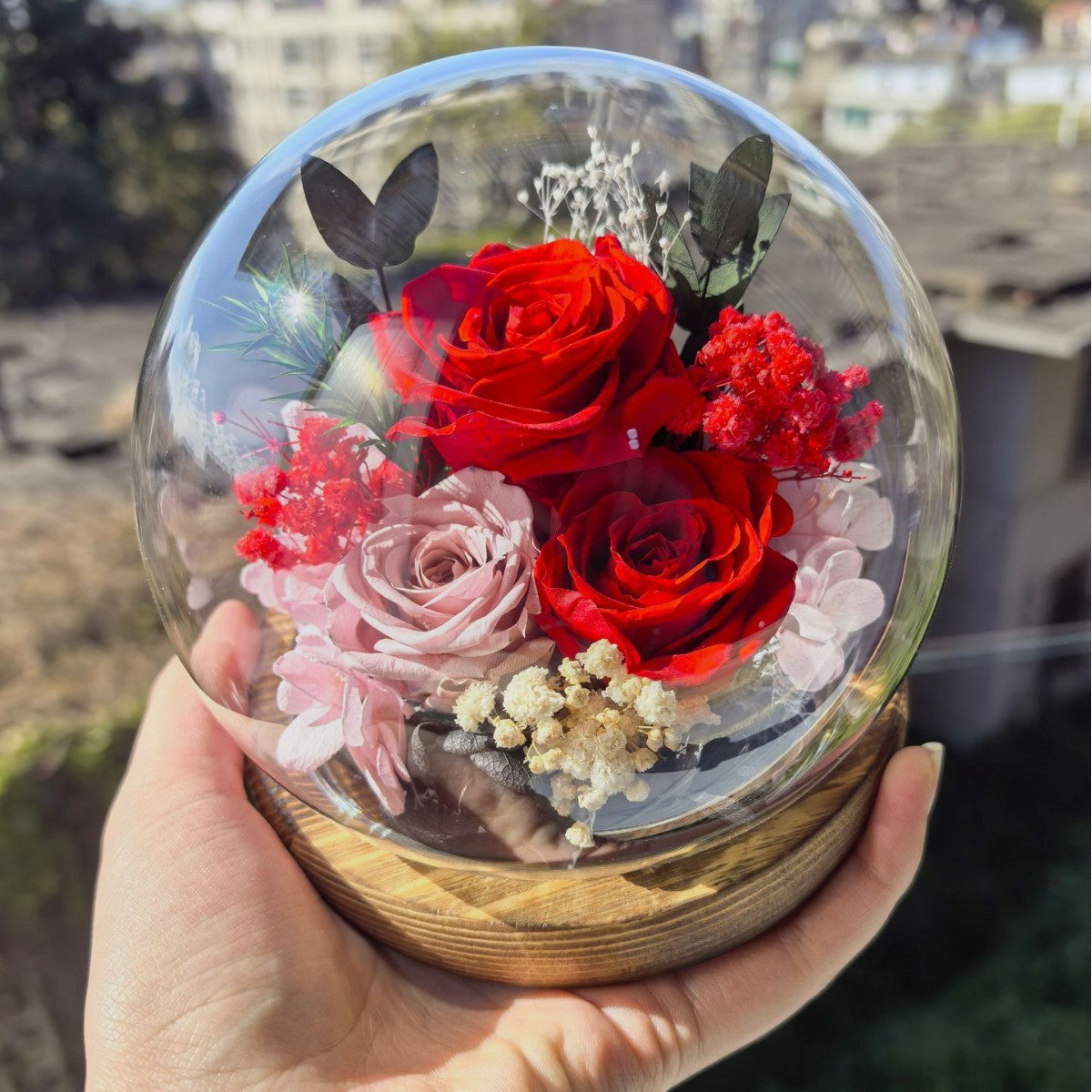 Preserved rose in a glass dome crystal ball