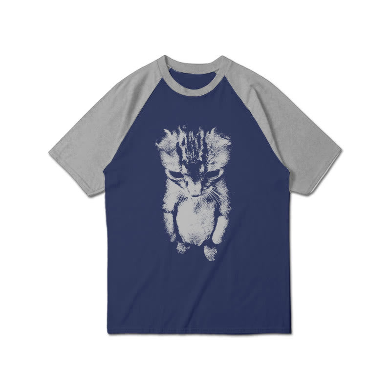Funny Cat Meme Print Raglan Sleeve T-shirt