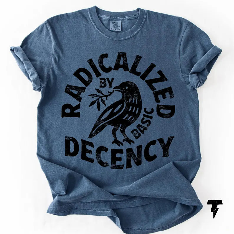 Radicalized By Basic Decency Comfort Colors T-shirt, Activist Tee