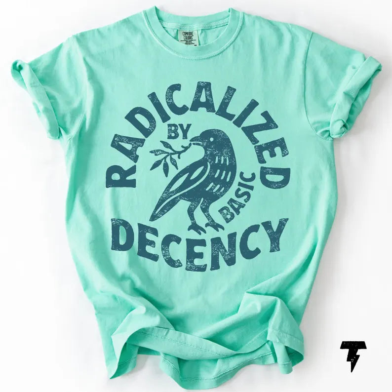 Radicalized By Basic Decency Comfort Colors T-shirt, Activist Tee