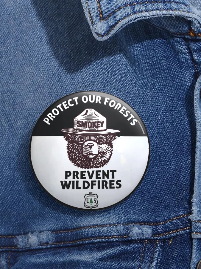 Unisex Retro Resist Save The Forest Service Protect Our Forest Prevent Wildfires Pin-Back Button
