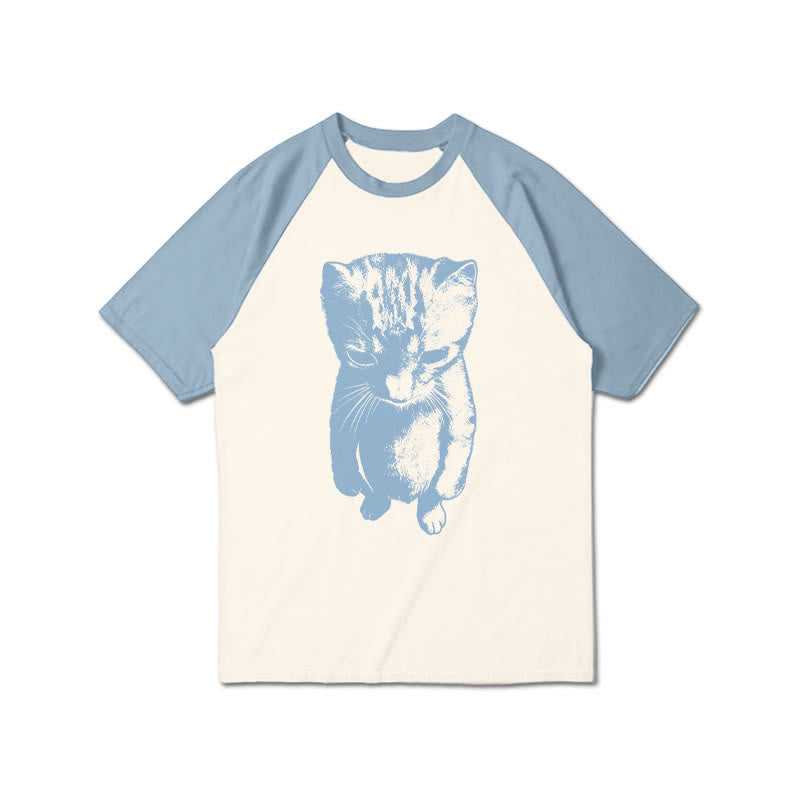 Funny Cat Meme Print Raglan Sleeve T-shirt