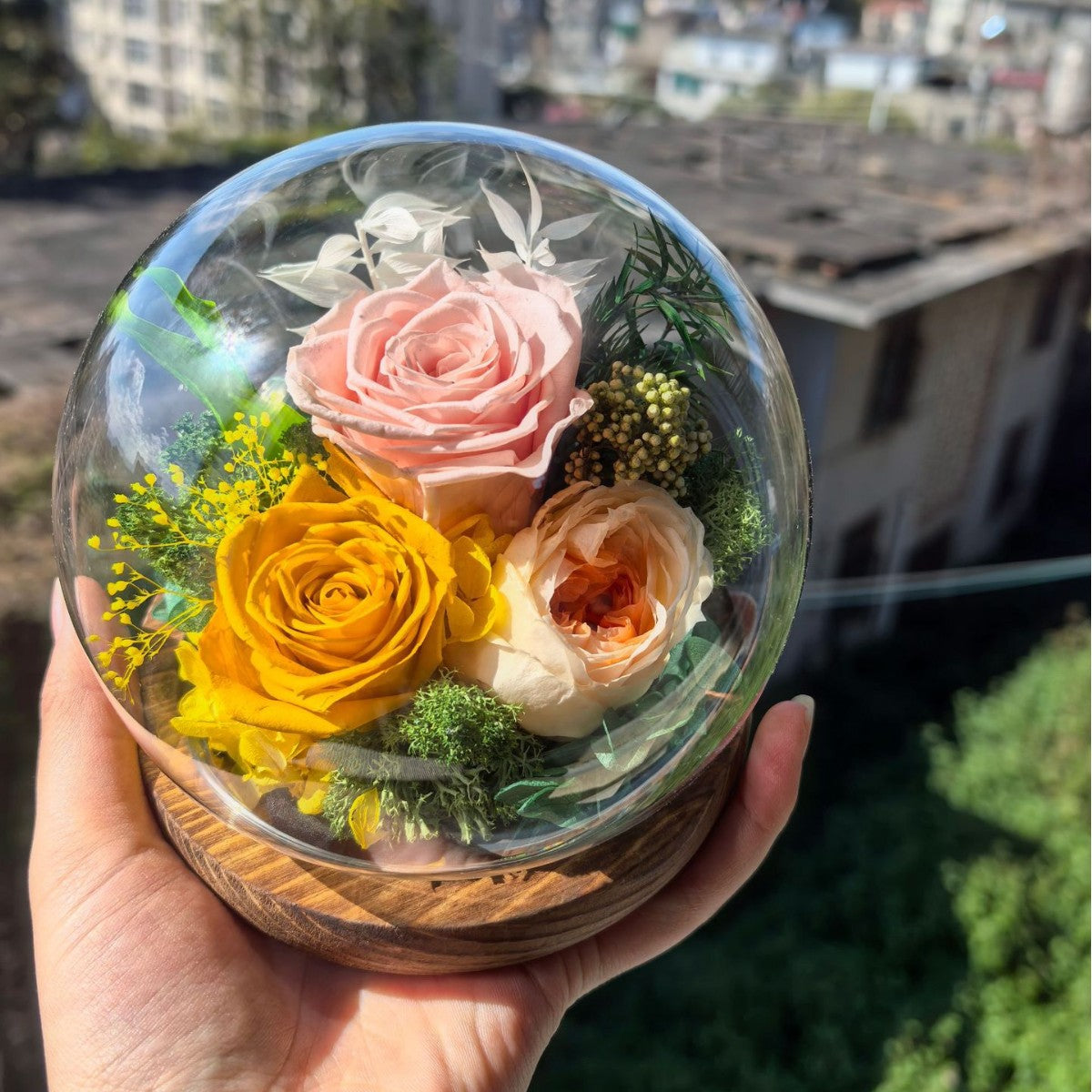 Preserved rose in a glass dome crystal ball
