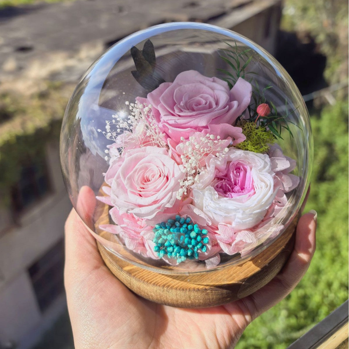 Preserved rose in a glass dome crystal ball