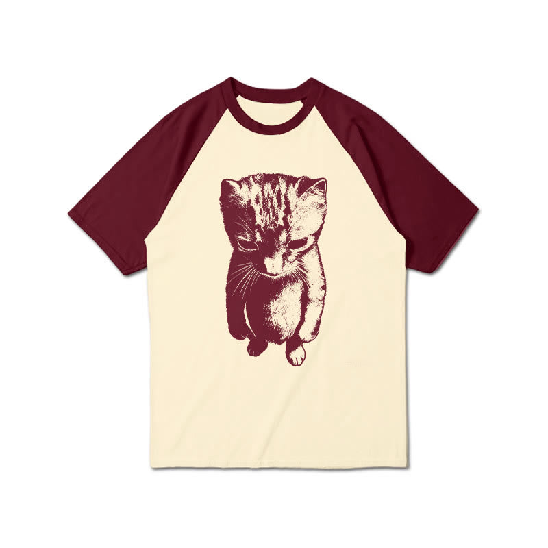 Funny Cat Meme Print Raglan Sleeve T-shirt