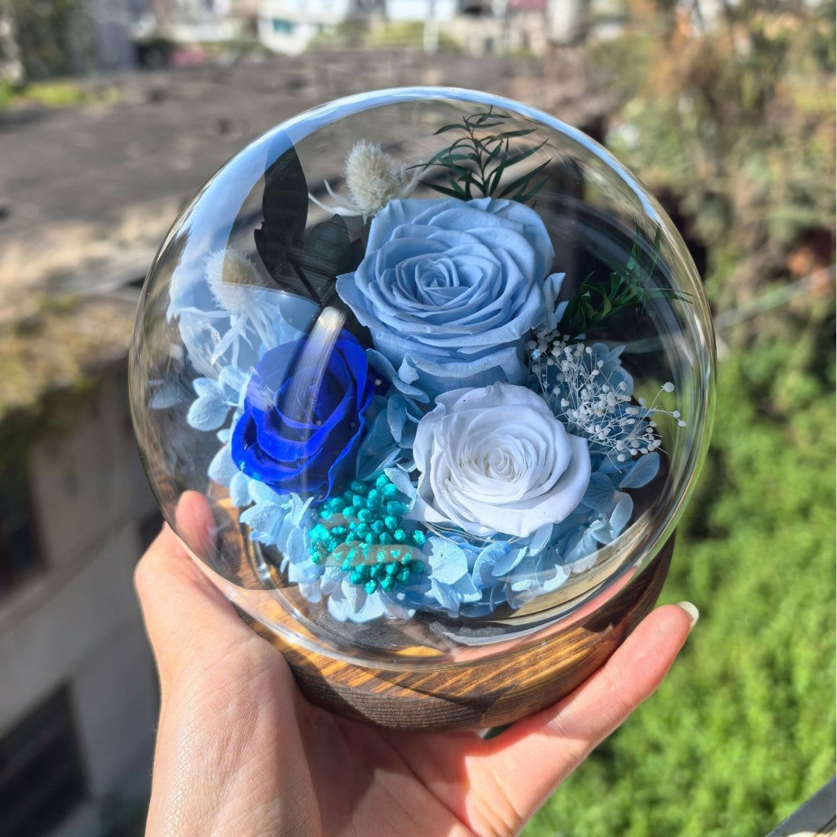Preserved rose in a glass dome crystal ball