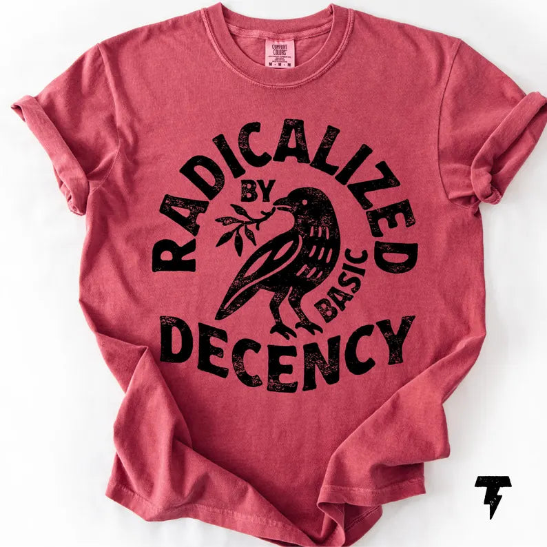 Radicalized By Basic Decency Comfort Colors T-shirt, Activist Tee