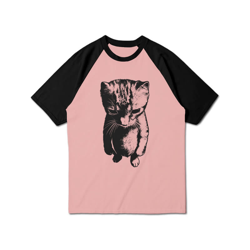 Funny Cat Meme Print Raglan Sleeve T-shirt