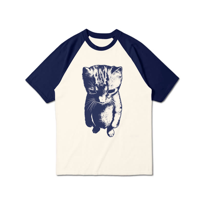 Funny Cat Meme Print Raglan Sleeve T-shirt