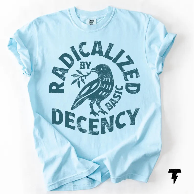 Radicalized By Basic Decency Comfort Colors T-shirt, Activist Tee